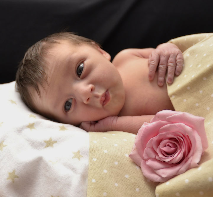 newborn photography